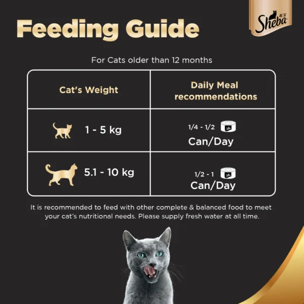 6 Feeding guid d64eab5b 6cac 4825 a560 a72c0cd043a1 1