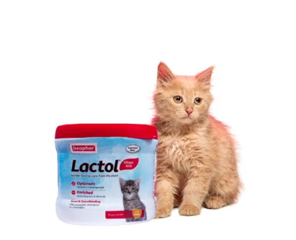 Beaphar Lactol Newborn Kitten Milk Replacer 200 Gms at ithinkpets.com 1 1