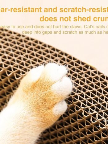 Cat Scratchers Round cardboard 2 in 1 Cat Scratching Board -cat loving scratcher