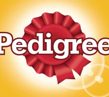 Pedigree Logo 500x313 1
