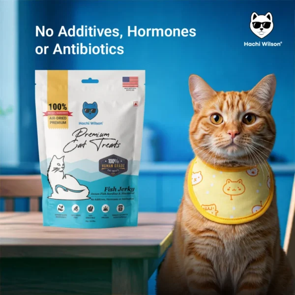 Hachi Wilson Cat Treats Fish Jerky | Ocean Fish Sardine and Mackerel | Human Grade Ingredients | 100% Grain Free| 75% Protein - Image 2