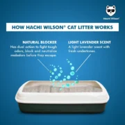 Hachi Wilson Cat Litter 5kg |Bentonite | Lavender Scented - Image 3