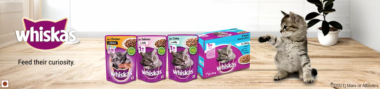 whiskas 1366x316 1
