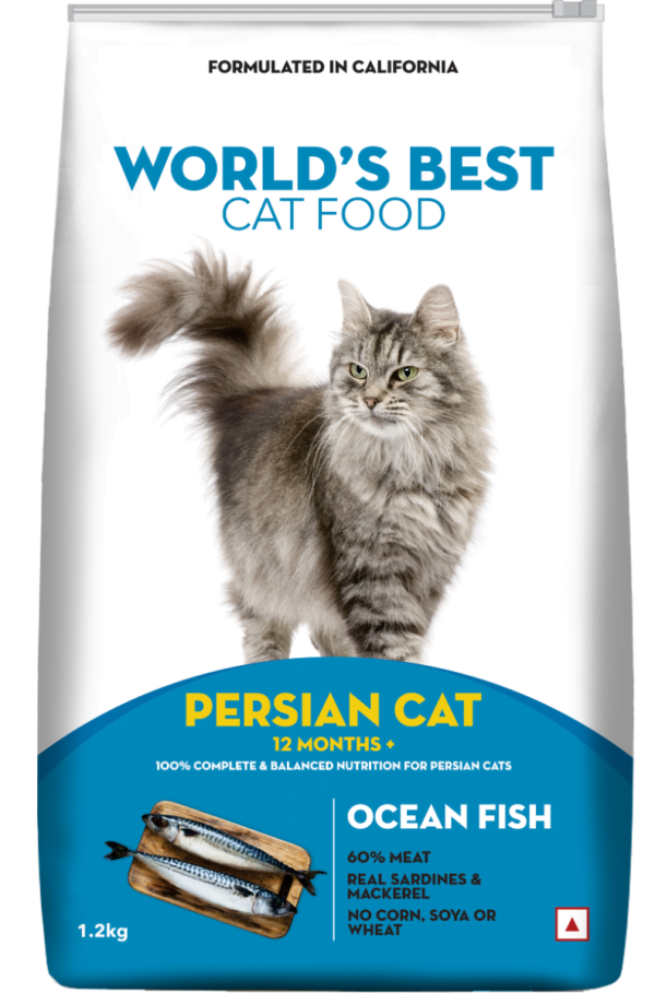 worlds best persian cat 1 2 kg front